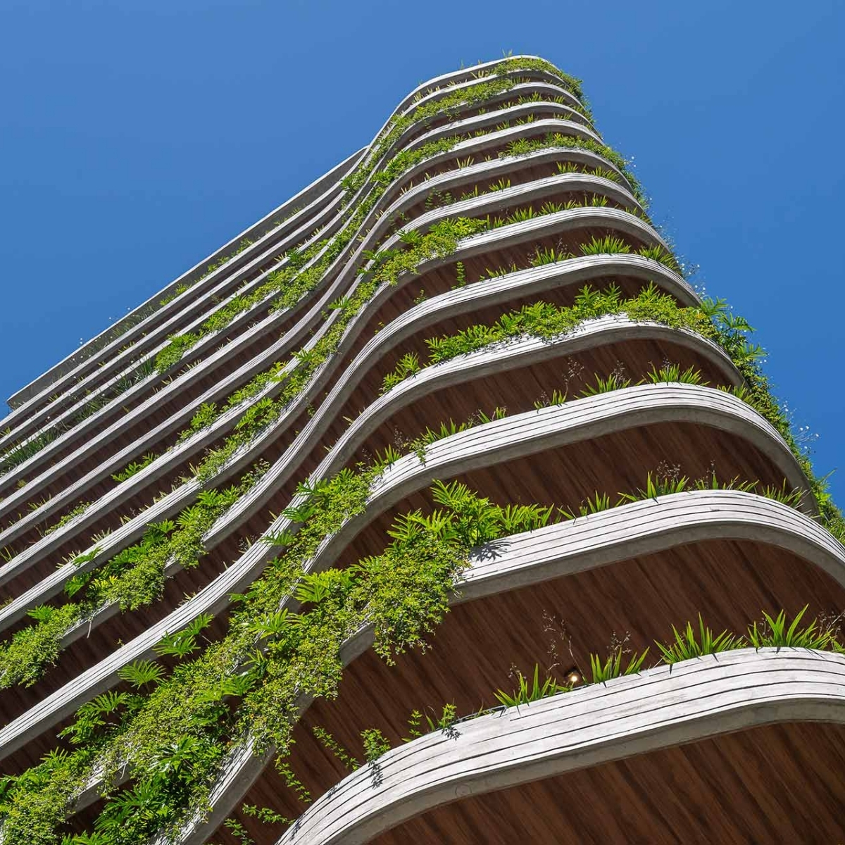 9-case-aam-jei-1x1-1200x1200-FINAL